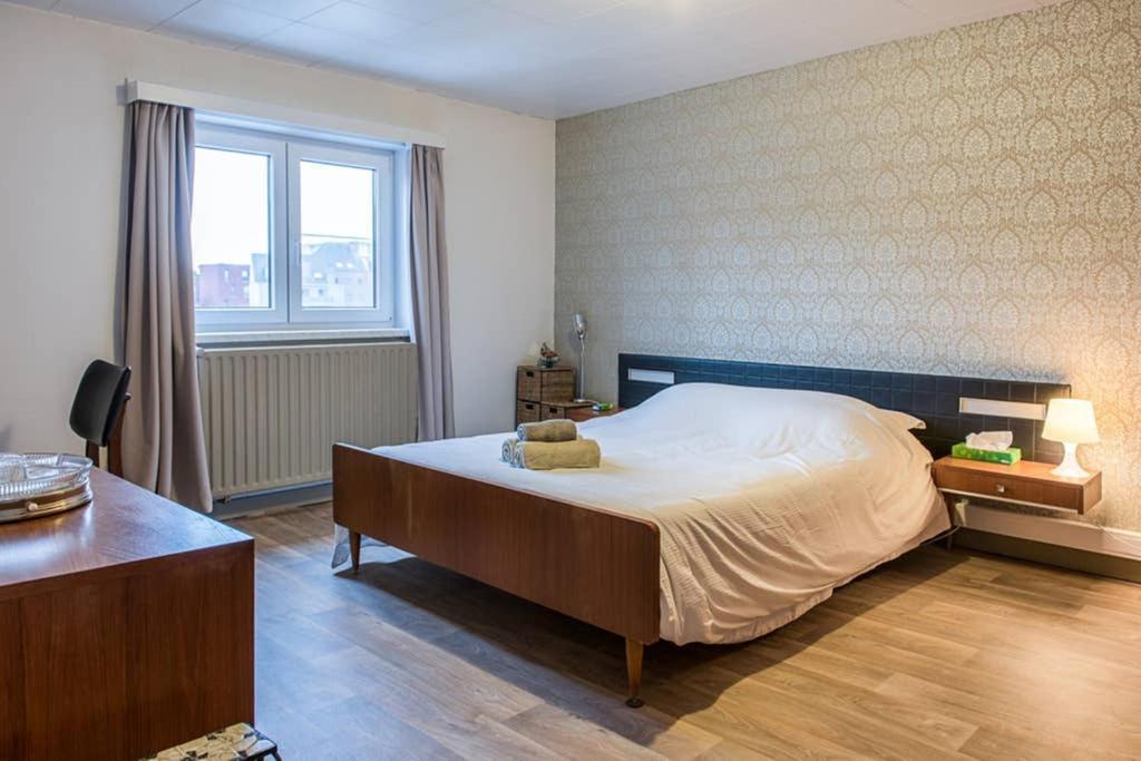 Vakantiewoning In Mol Centrum Met Eigen Bar "Casacuriosa" מראה חיצוני תמונה